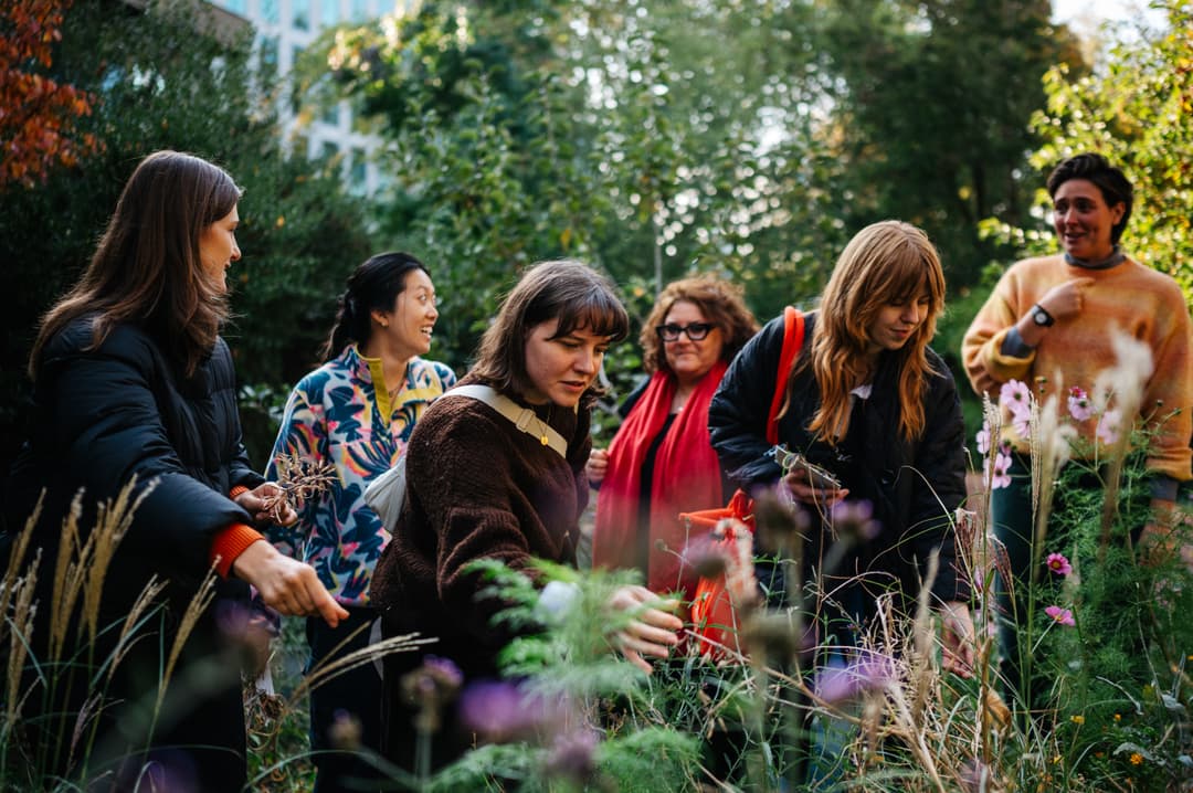 Gardens: Curiosity and Creative Research poster
