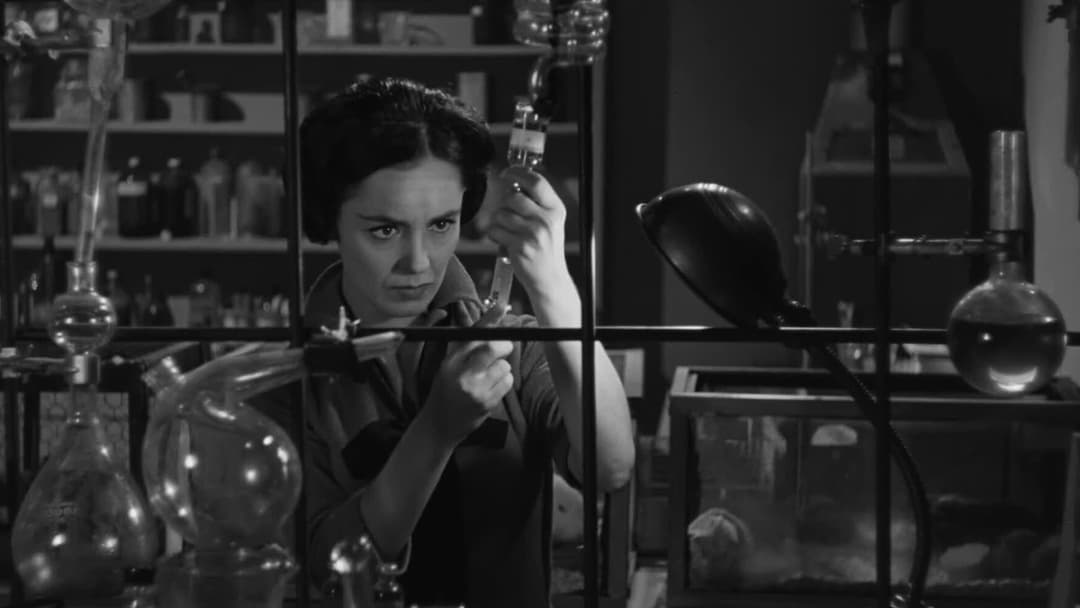 Pink Palace: The Wasp Woman poster