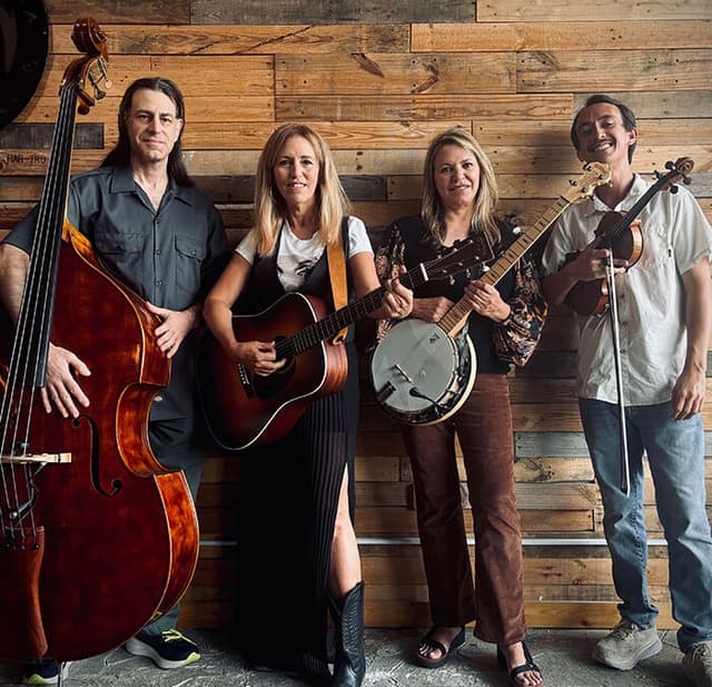 Gypsy Strings Revival poster