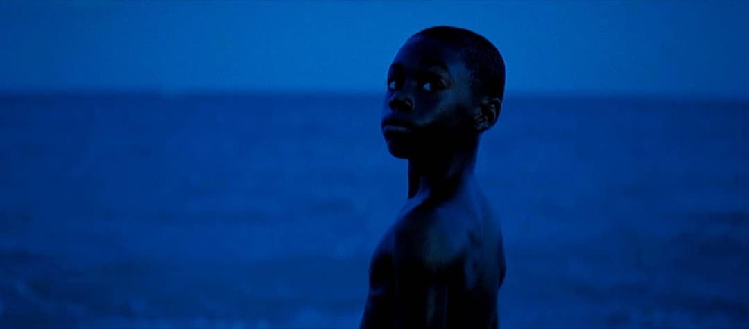 Scene Festival: Moonlight (10th Anniversary) poster