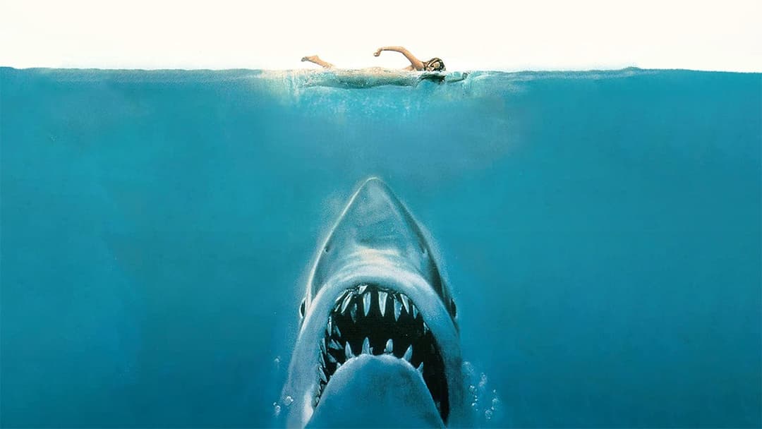 Jaws With Wine poster