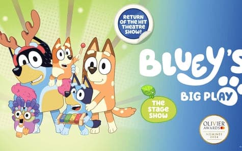 Bluey's Big Play poster