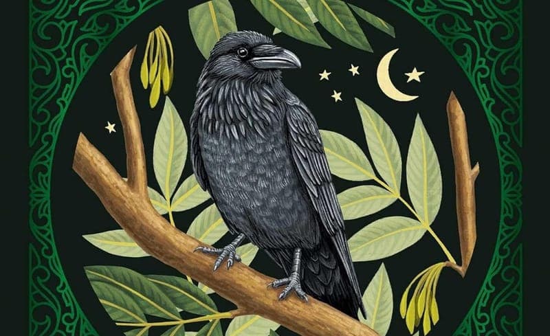 Hedgewitch Oracle& Fairytale Oracle -Kate Forsyth poster