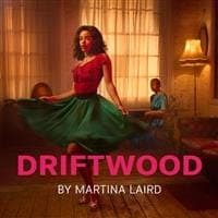 DRIFTWOOD poster