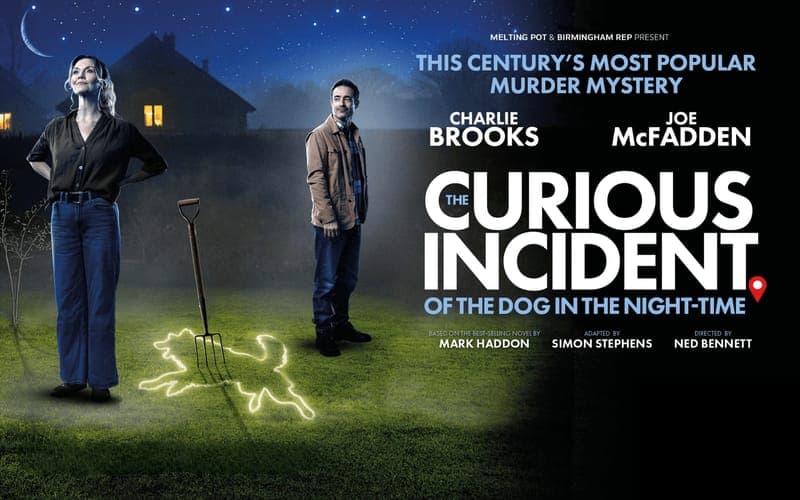 The Curious Incident of the Dog in The Night-Time poster