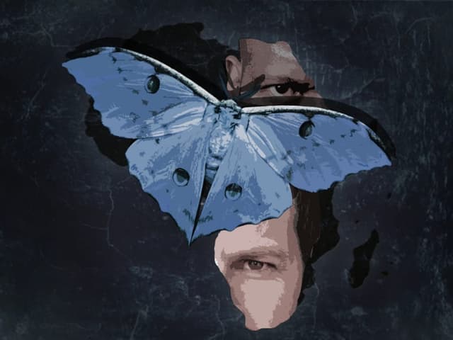 The Moth poster