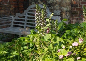 The Charterhouse Summer Garden Tour poster