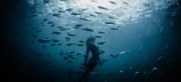 Oceanic Global Short Film Festival: London Premiere poster
