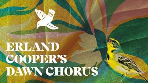 BBC Sso 2026/27: Erland Cooper’s Dawn Chorus poster