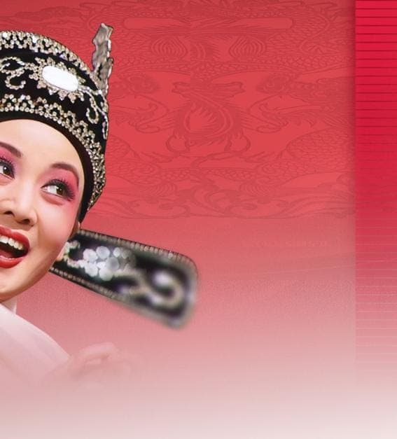 The Lady Prince Consort poster