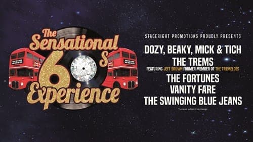 The Sensational 60s Experience poster