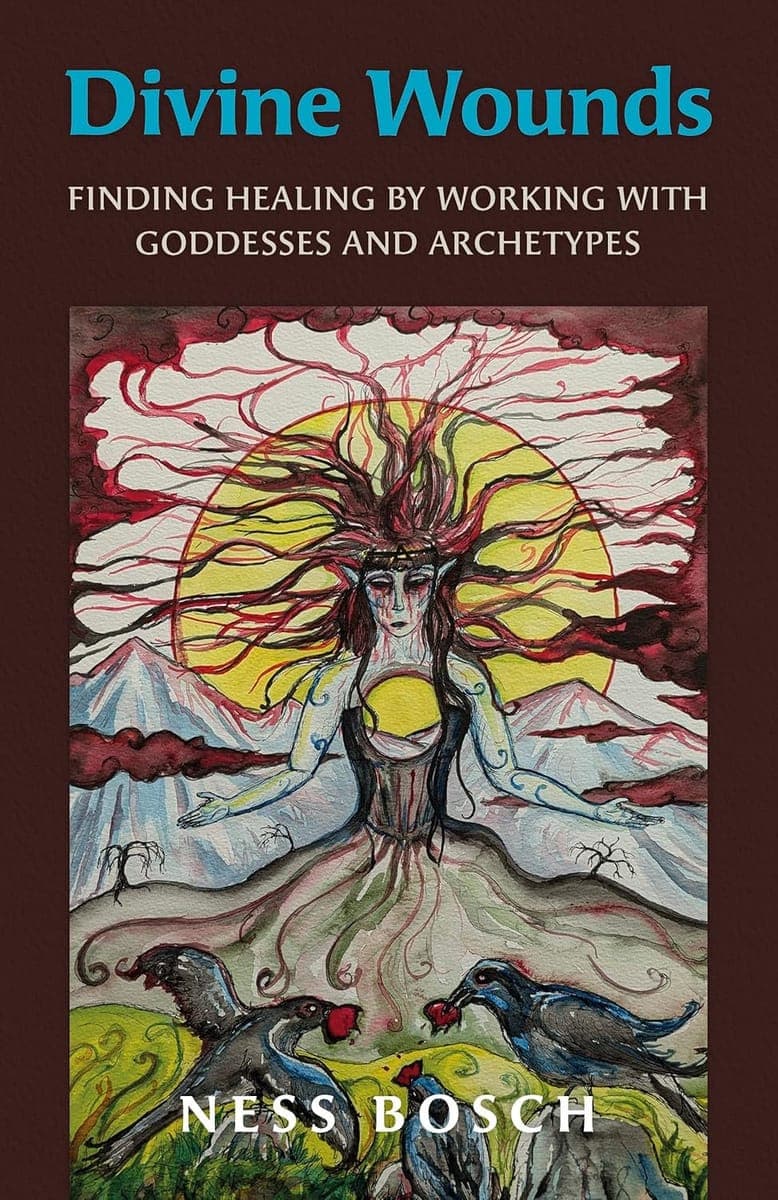 Divine Wounds -Ness Bosch poster