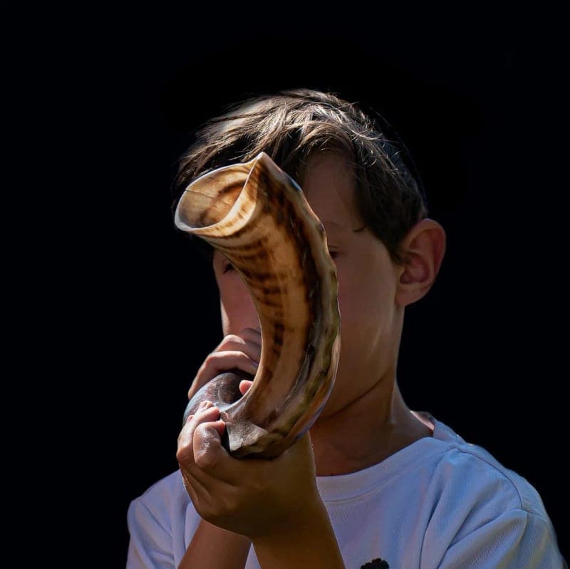 Discover the shofar — Manchester Museum poster