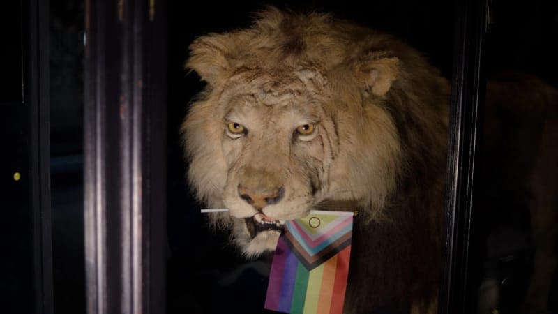 Pride tours — Manchester Museum poster