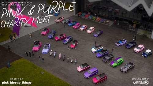Pink & Purple Charity Meet poster