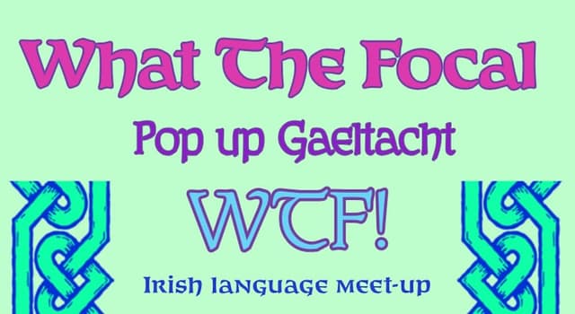 What The Focal – Irish Language Meet-Up poster
